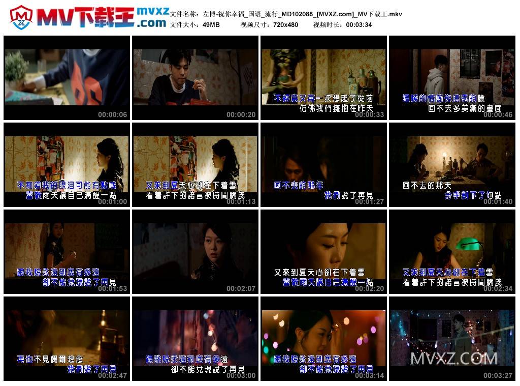 左博-祝你幸福_国语_流行_MD102088